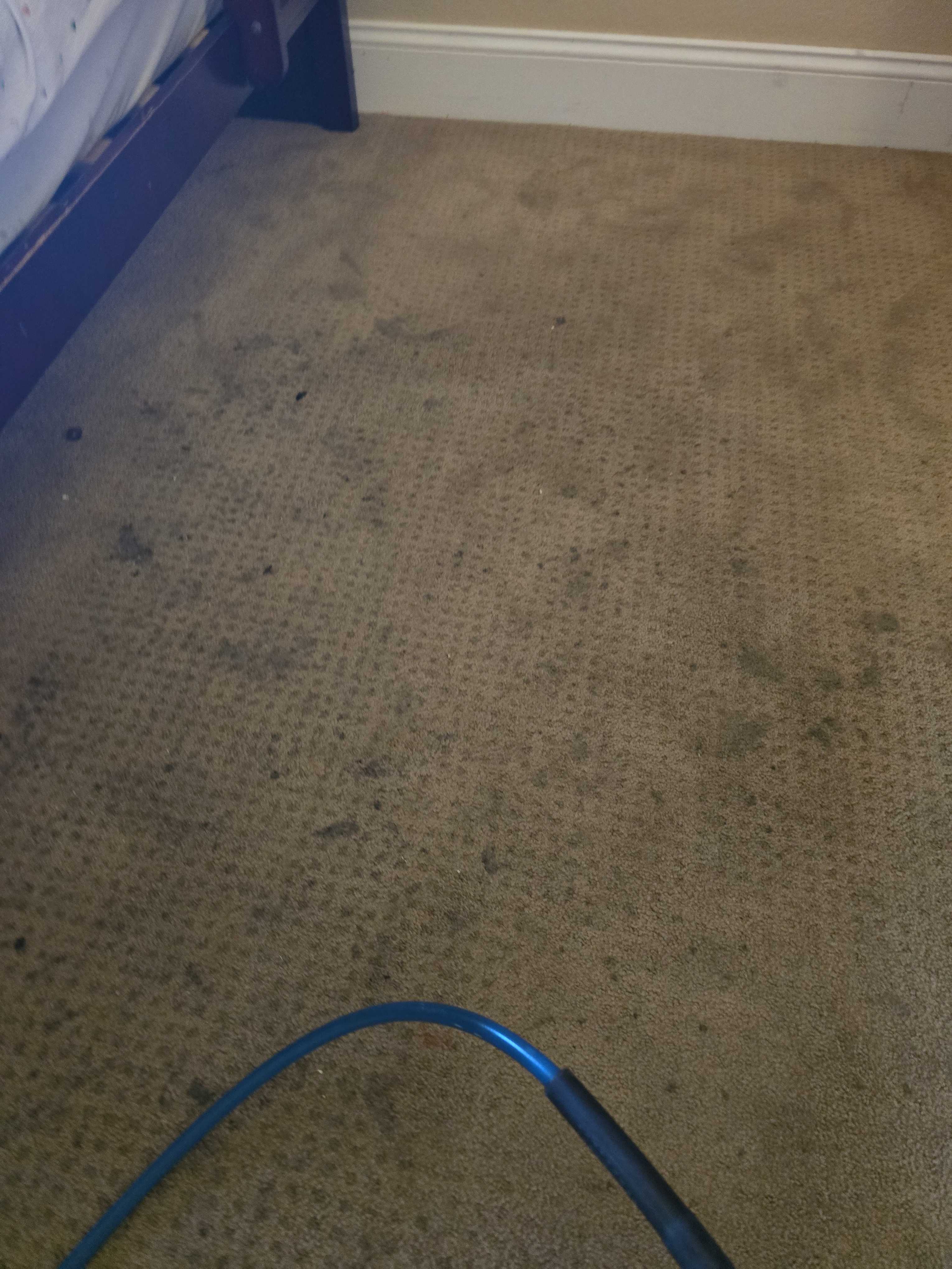 Carpet Cleaning